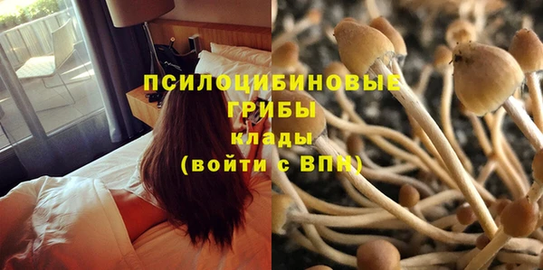 прущая мука Алзамай
