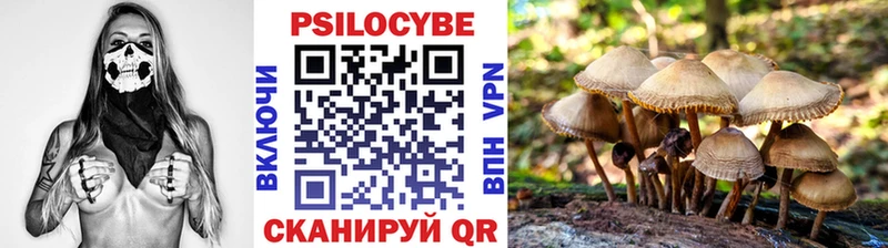 Галлюциногенные грибы Psilocybe  цены   Харовск 